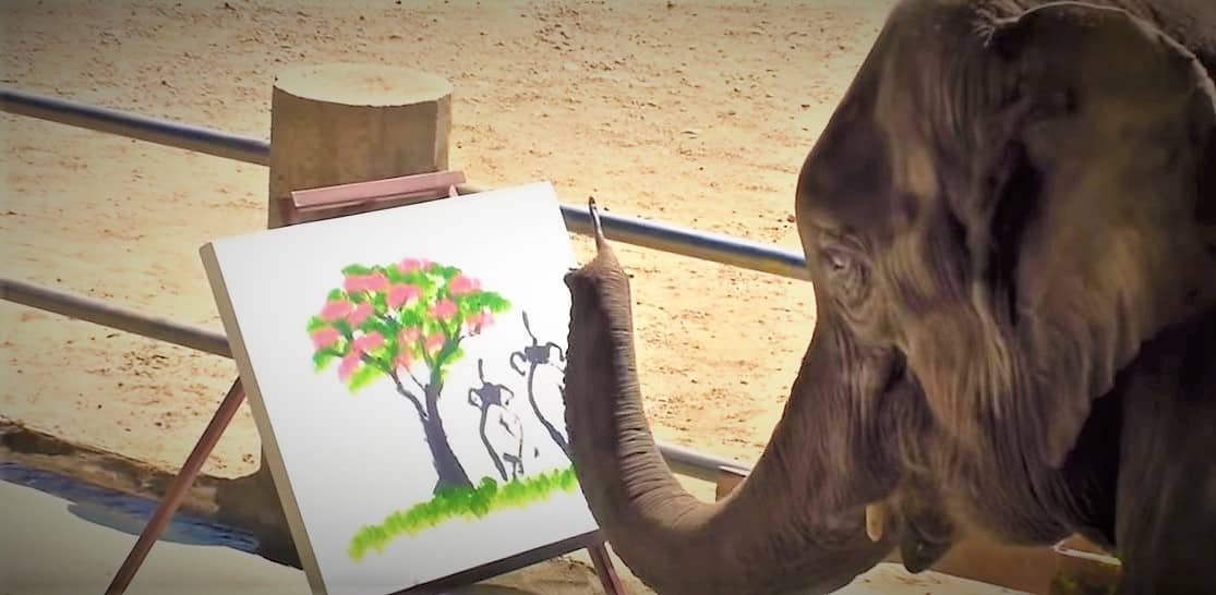 Chiang Mai, Dipinti creati da elefanti